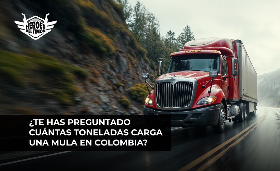¿Te has preguntado cuántas toneladas carga una mula en Colombia?
