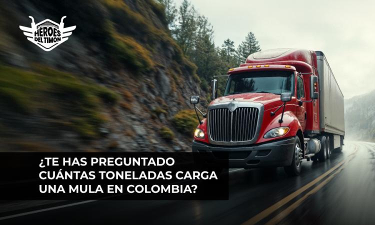 ¿Te has preguntado cuántas toneladas carga una mula en Colombia?